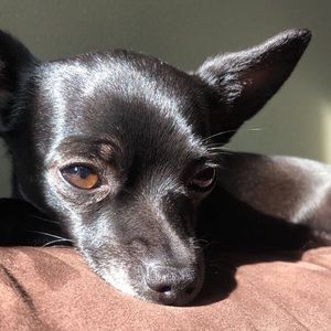 Meet your Posher, Jaden